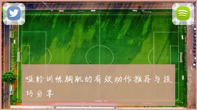 哑铃训练胸肌的有效动作推荐与技巧分享