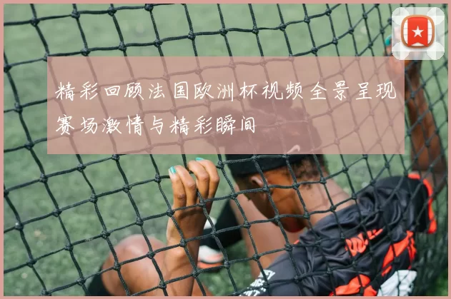 精彩回顾法国欧洲杯视频全景呈现赛场激情与精彩瞬间