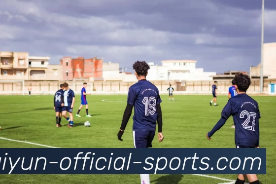 开云平台生态图